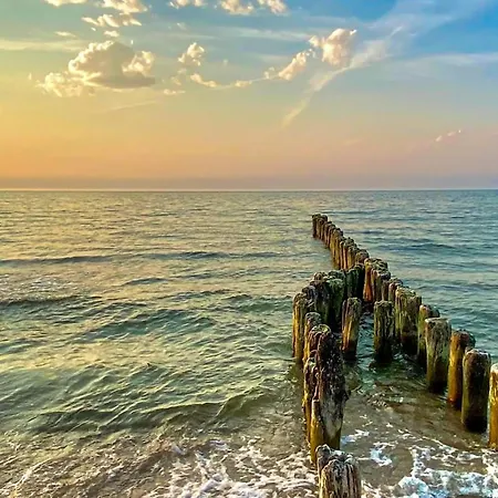 別荘 Lovely In With Wifi *