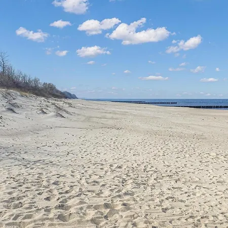 Lovely In With Wifi ミエルノ